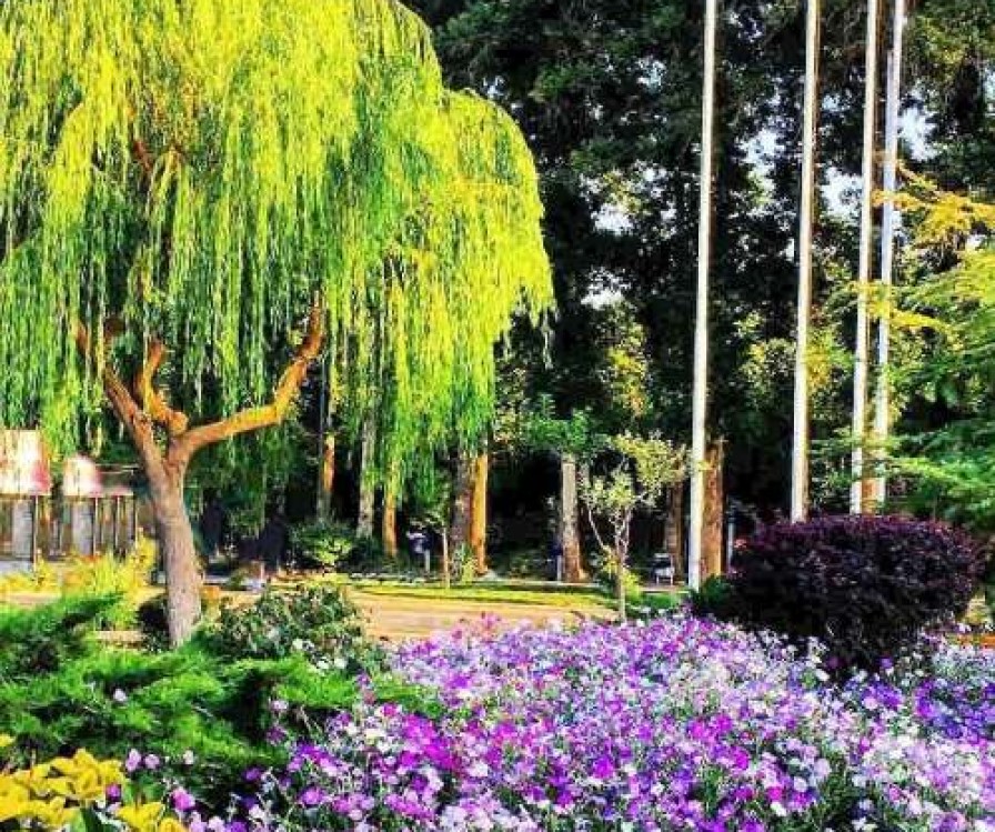 Fateh Garden