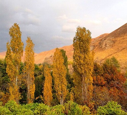 Alborz