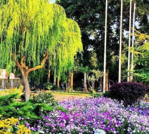 Fateh Garden