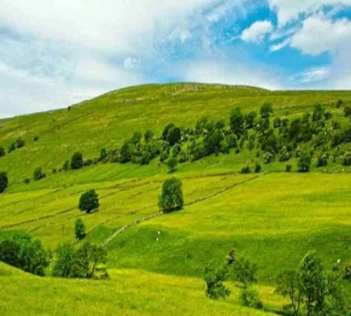 Arjan plain