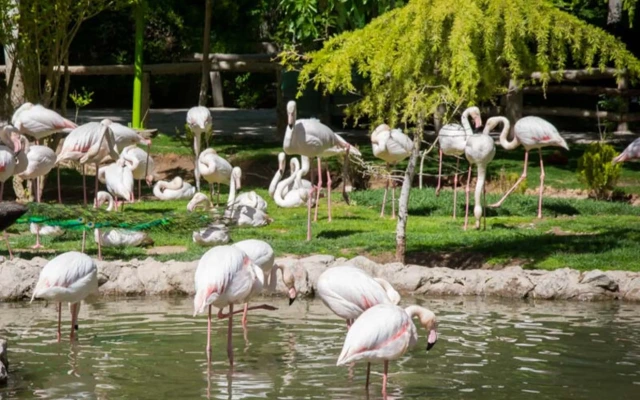 Bird Garden Isfahan