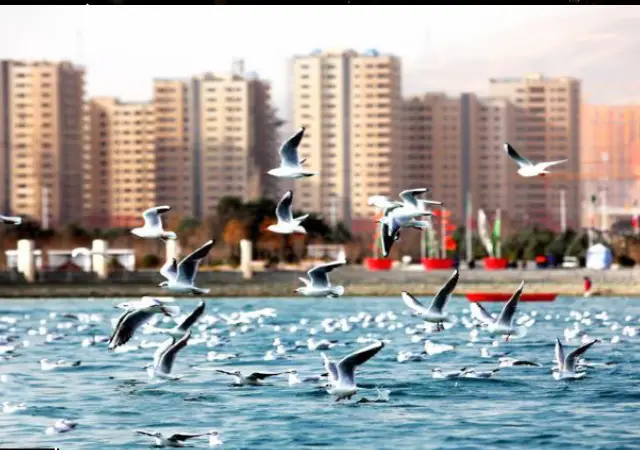 Chitgar Lake Tehran [ history + photos + review + tours ]
